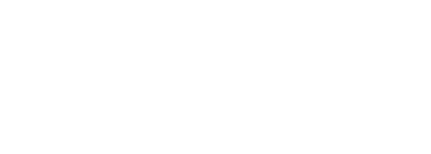Logo FSR